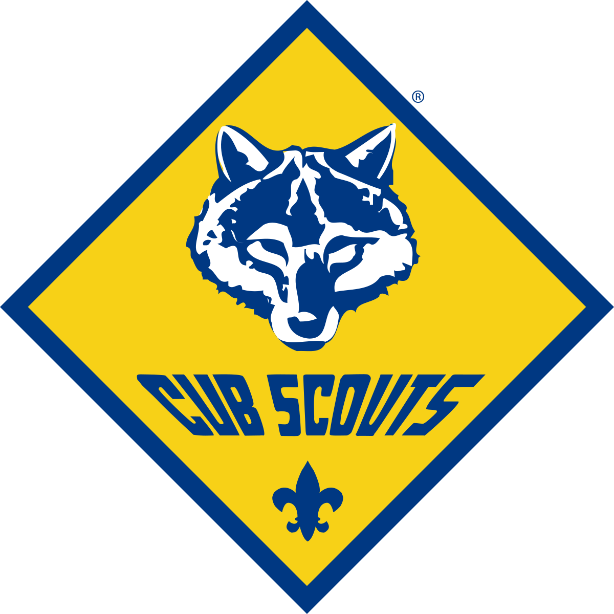 Boy Scouts of America Greater Tampa Bay Area Council